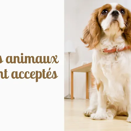 Holiday home 20 Min Lioran, Maison Familiale En Auvergne, Nature Et Confort, Vic-sur-Cere