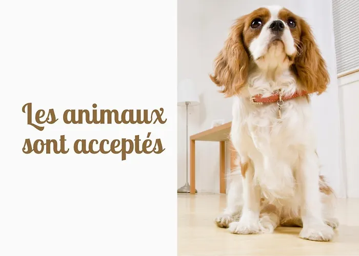 Holiday home 20 Min Lioran, Maison Familiale En Auvergne, Nature Et Confort, Vic-sur-Cere